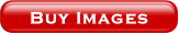 Buy Images.